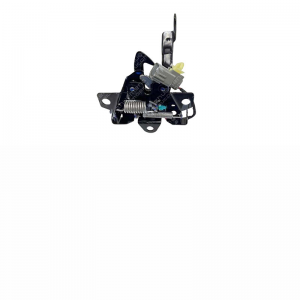 Hoodlock-c00091184