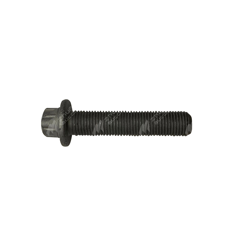 Screws - Crankshaft pulley -BLT200012-