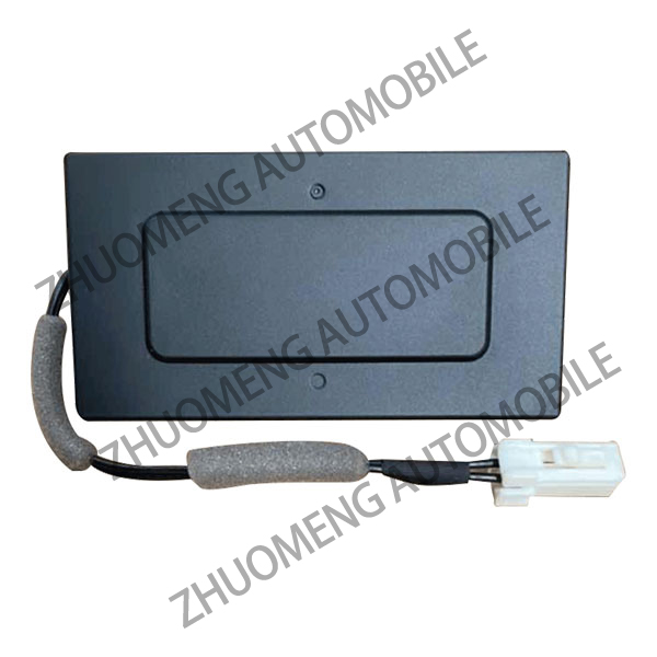 Trunk switch10022051