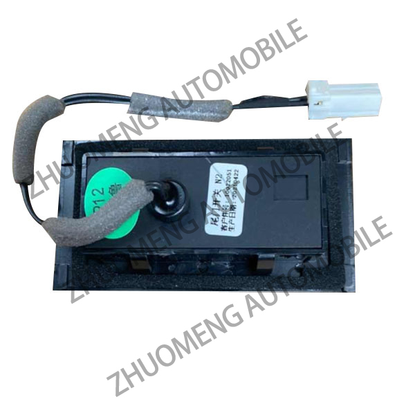 Trunk switch10022051