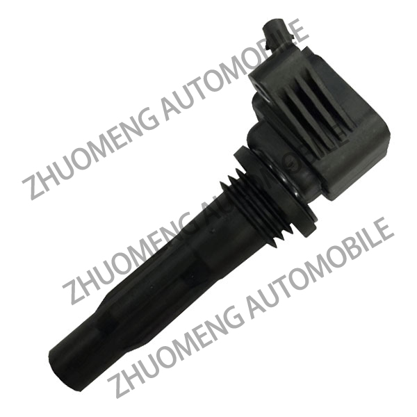 10239858 ignition coil 