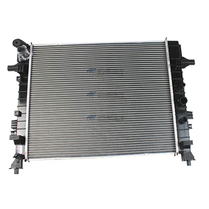 10457176 Radiator Assembly - country 6