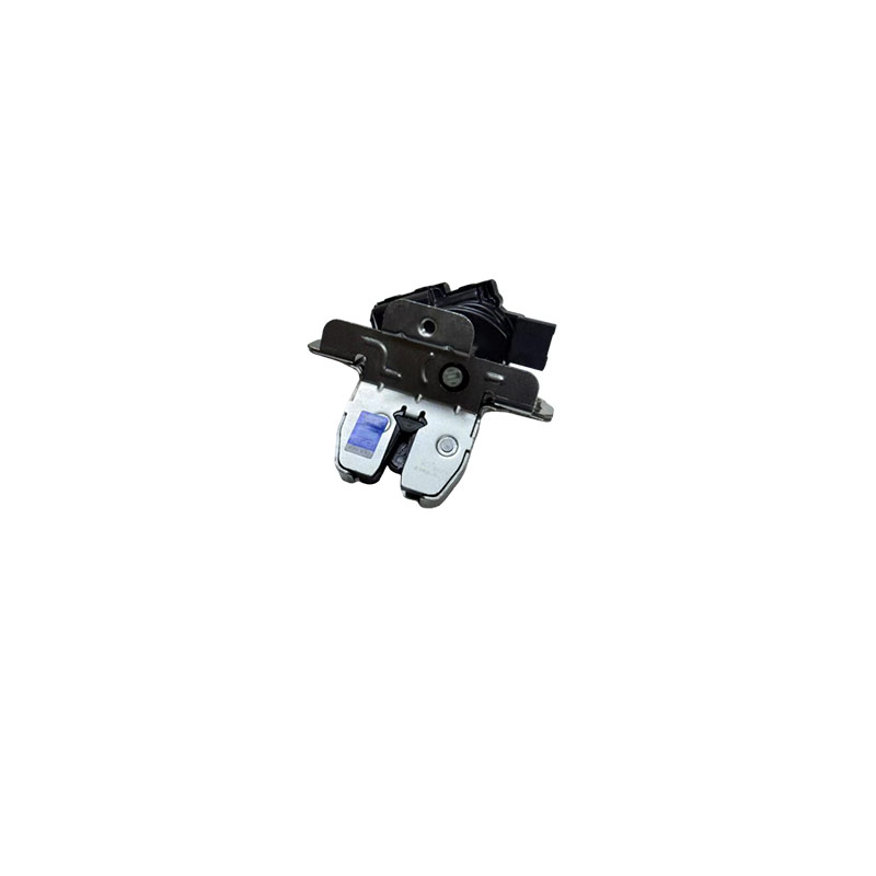 Back door lock assembly-T21-6305110
