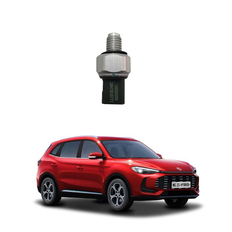 ENGINEOILSENSORPLUG-10690258