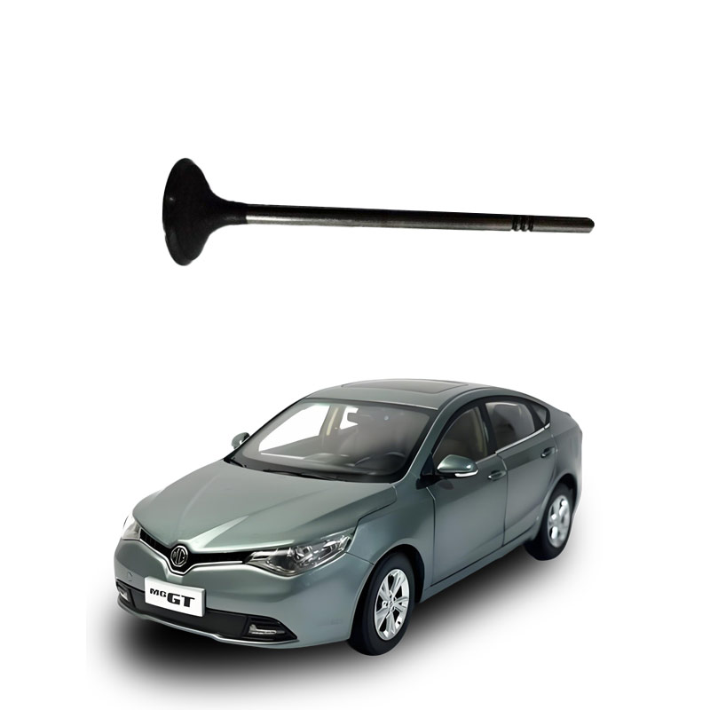 Exhaust-valve-10203583