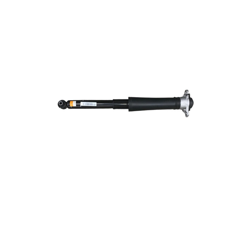 HAD-13448423-002915030B_Rear shock absorber assembly_M00000