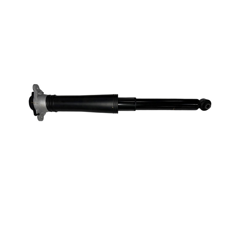 HAD-13448424-00-2915030C_Rear shock absorber assembly_M00000