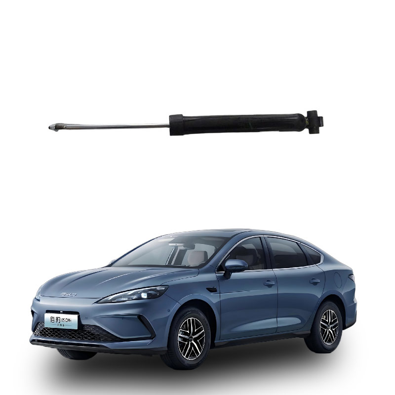 HAD-2915800_-Rear-damper-assembly_M00000