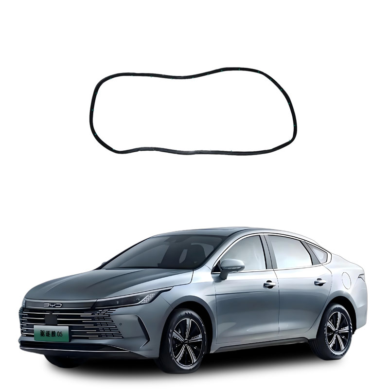 HAD-6207112_Right-Rear-Door-Sealing-Strip_S00000