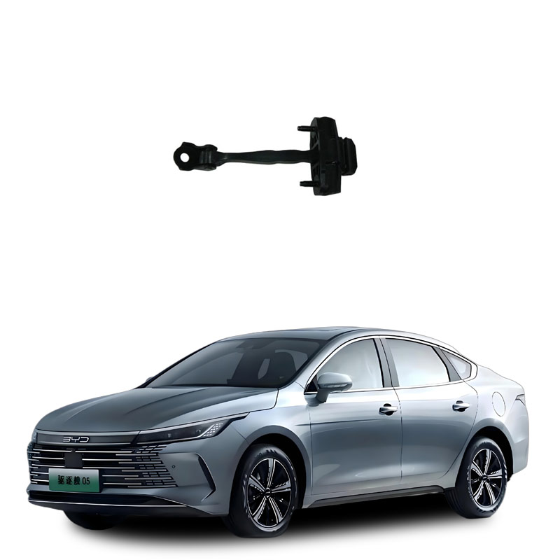 HAD-6209100_-Rear-door-limiter-assembly_M00000