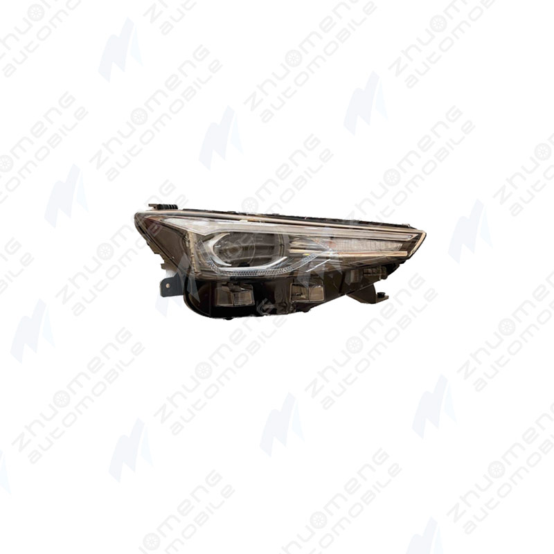 HEADLAMP-L-10796249-R-10796250