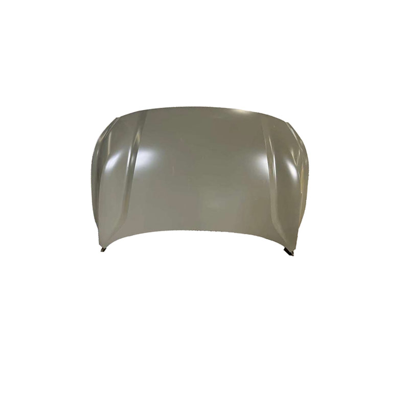 HOOD-11204273-SPCP