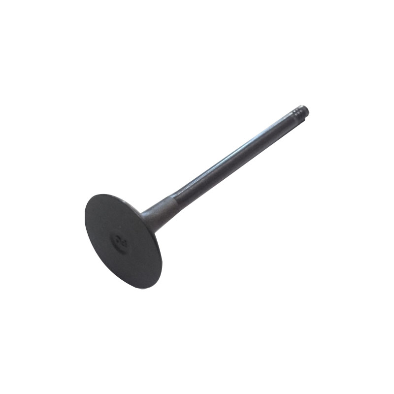 Inlet valve-E4G16-1007011