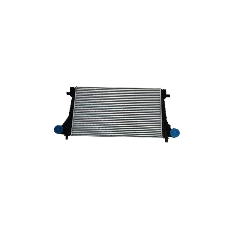 Intake Air Cooler - 2.0T-10922502