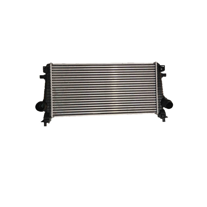 Intake air cooler-10561116