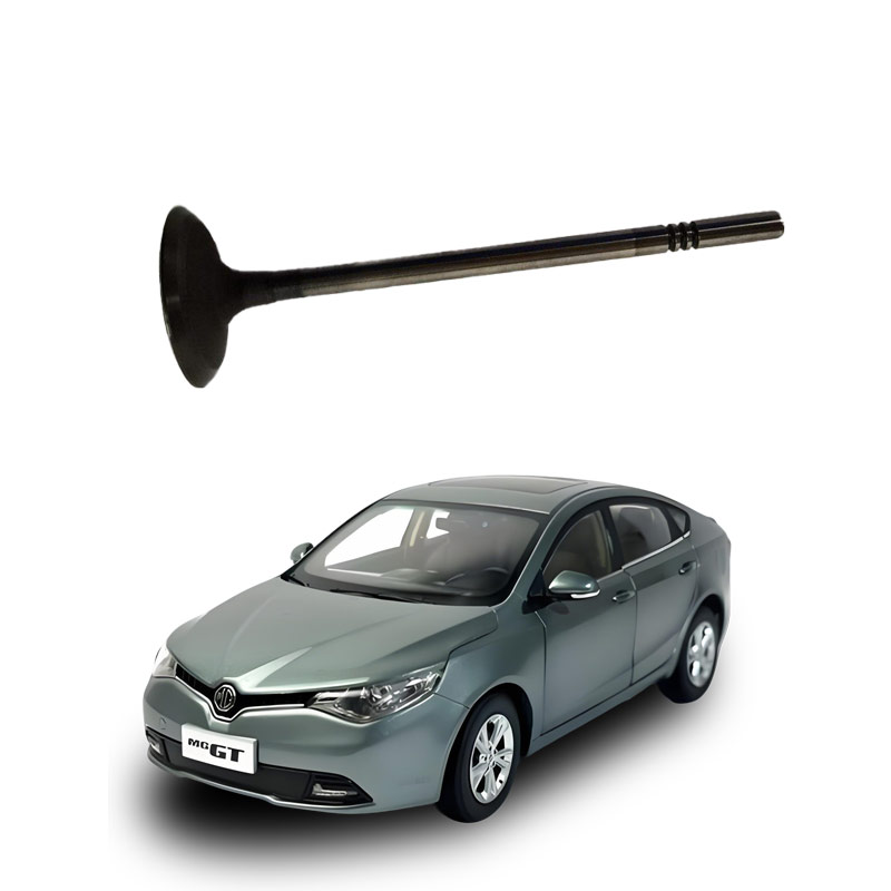 Intake-valve-10203582