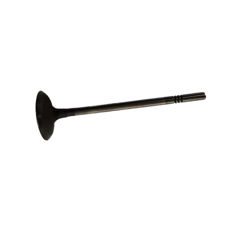 Intake valve-10203582