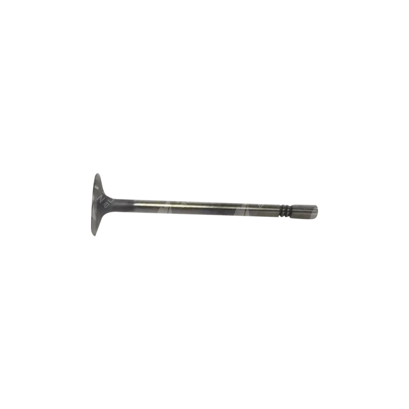 Intake valve - Slot 3 -10049010