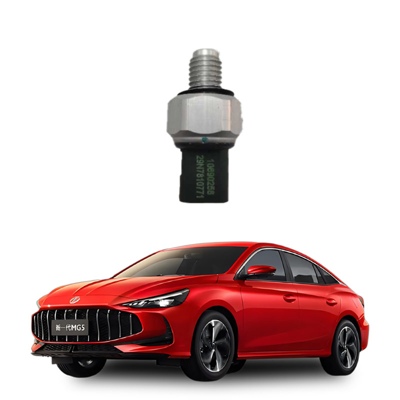 Oil sensor plug-10690258