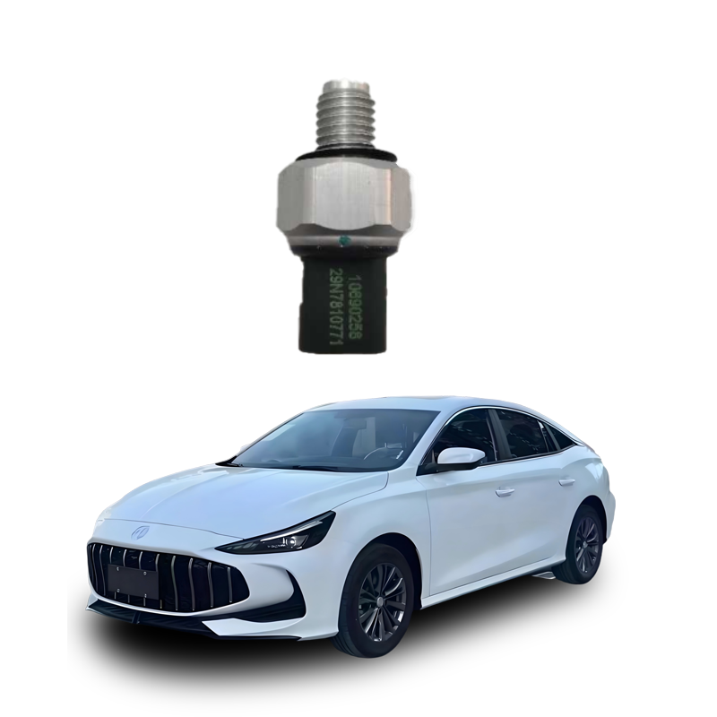 Oil-sensor-plug-10690258