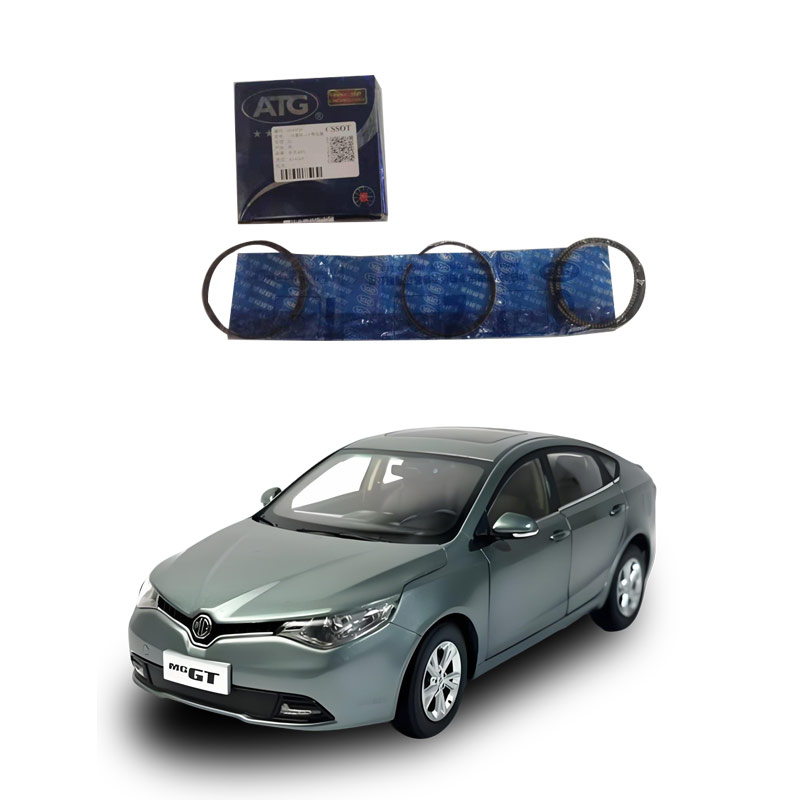 Piston-ring-10445753