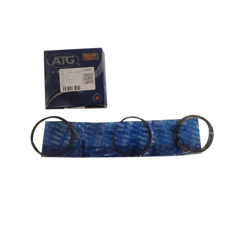 Piston ring-10445753