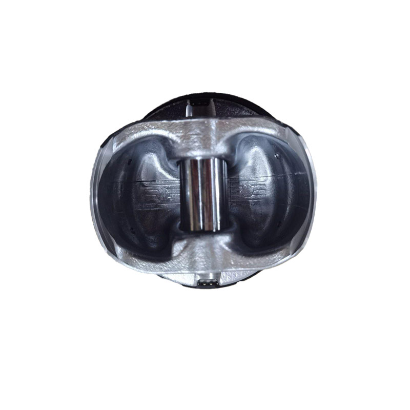 Piston - with pin and ring-10102627-10112627