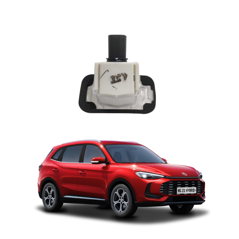 REARLICENSEPLATELIGHT-10012107