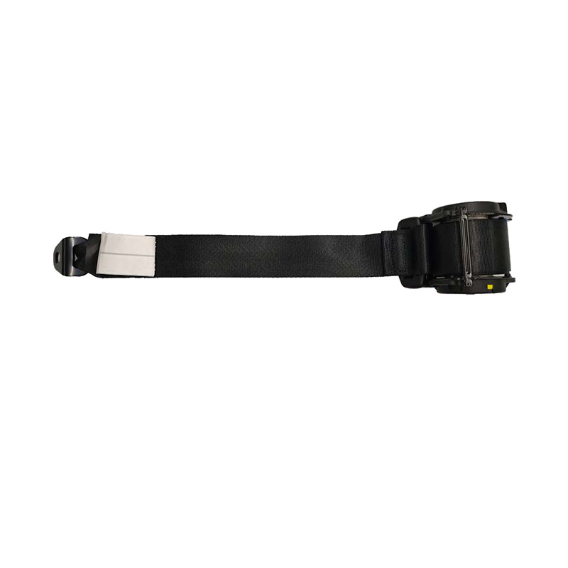 REARSEATBELT-10827985