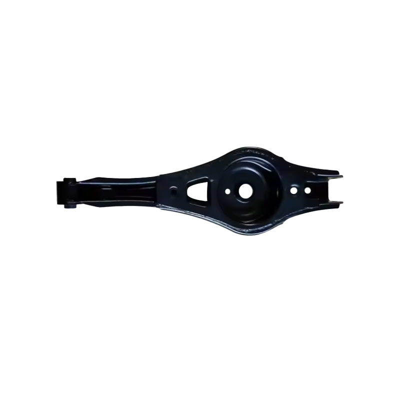 Rear suspension lower control arm-202000231AA