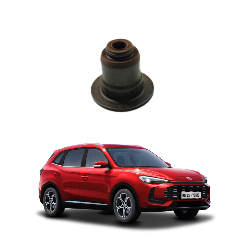 VALVEOILSEAL-10644913