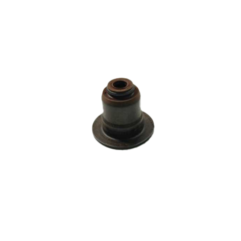 VALVEOILSEAL-10644913