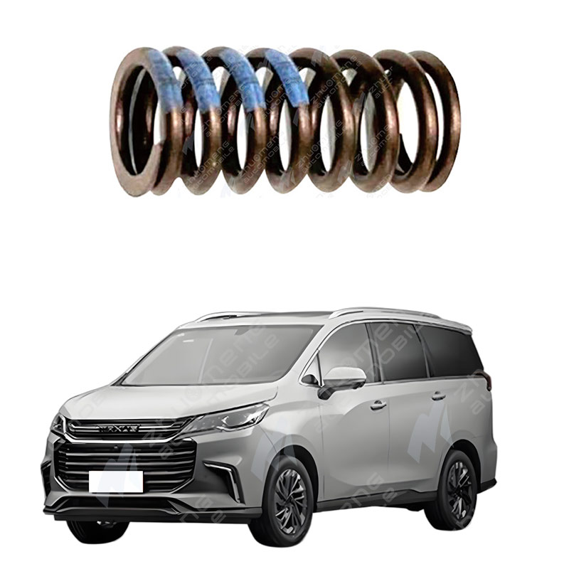 VALVESPRING-12636319