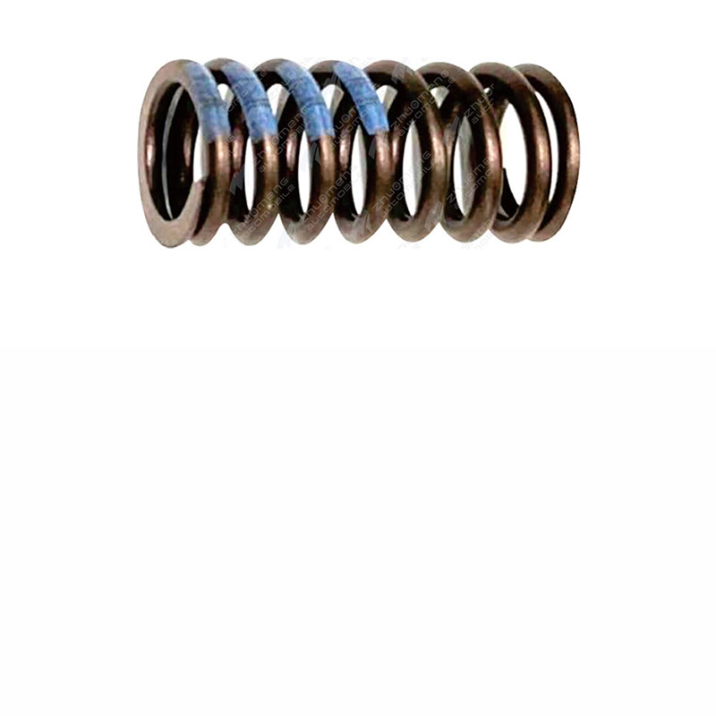 VALVESPRING-12636319
