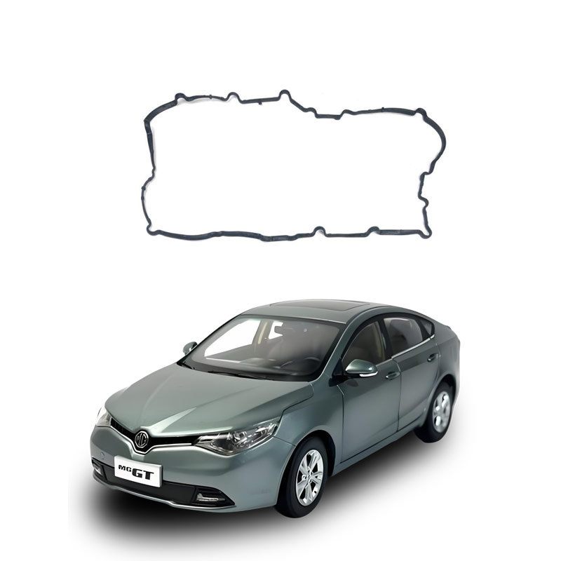 Valve-cover-gasket---exterior-10224011