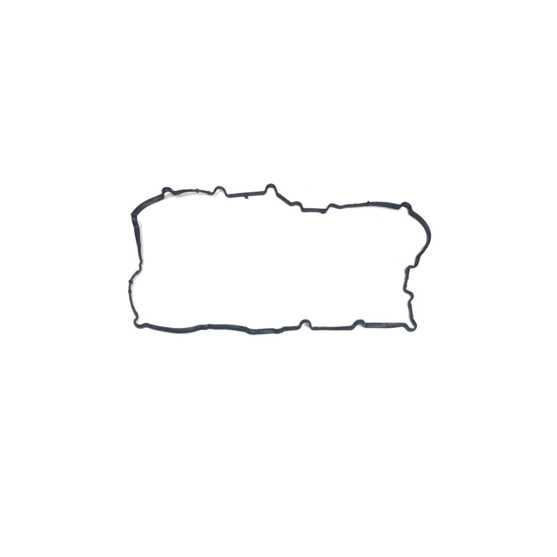 Valve cover gasket - exterior-10224011