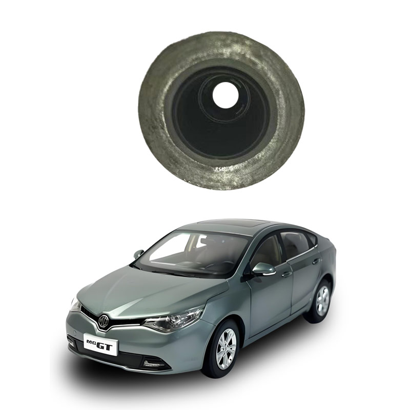 Valve-oil-seal-10125337