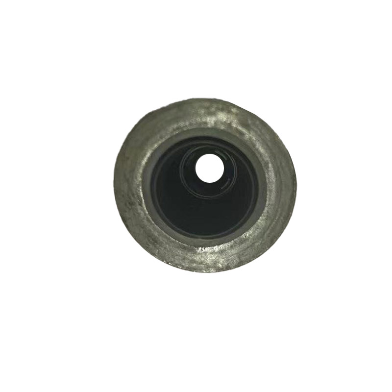 Valve oil seal-10125337