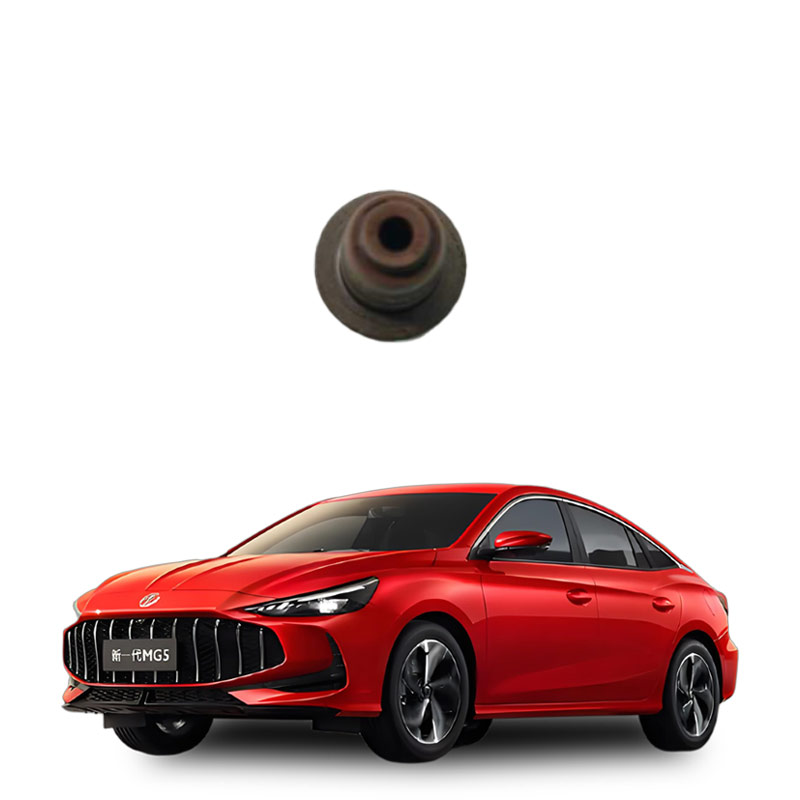 Valve oil seal-10644913