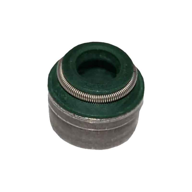 Valve oil seal-481H-1007020