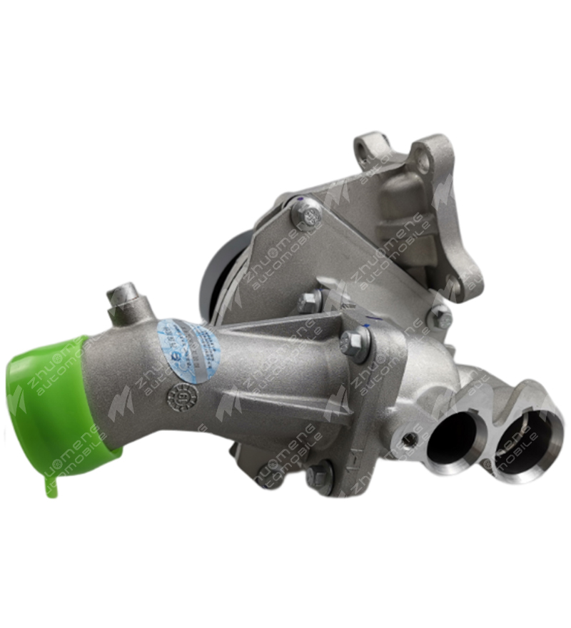 WATER PUMP ASSEMBLY-10061430-X1914009