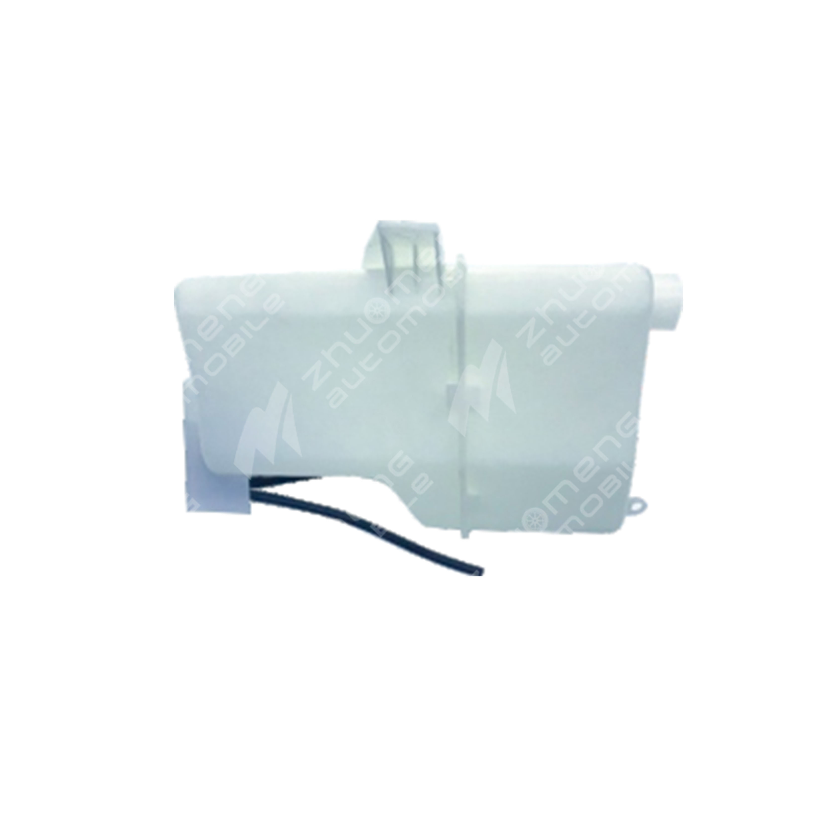 WATER ROT-10361598